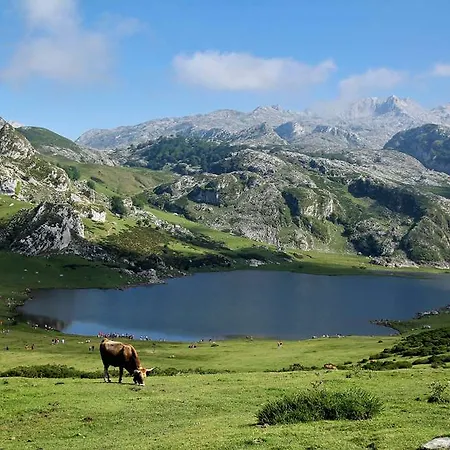Og El Moli De Siurana (Alt Emporda)